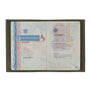 Louis Cuir Vintage Porte Passeport Bois Vert
