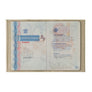 Louis Grained Leather Passport Holder Blue Sky